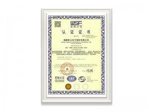 福建星云電子股份有限公司ISO9001證書(shū)（中文）